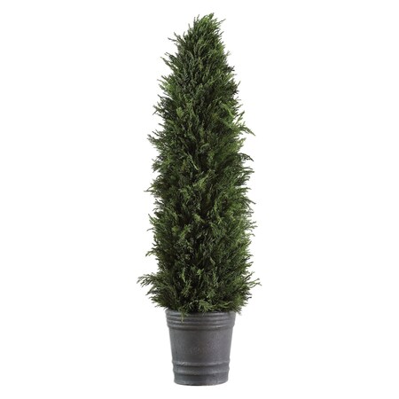 Uttermost Cypress Cone Terracotta Topiary Plant in Aged Dark Gray and Green